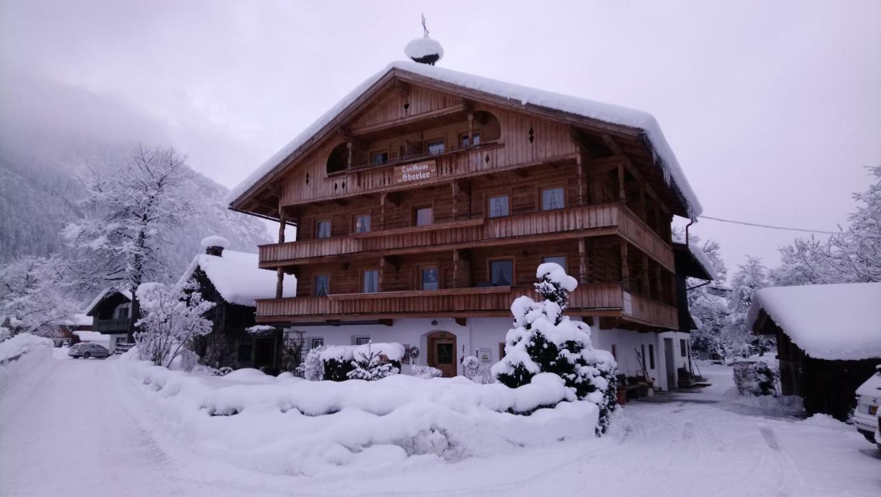 Landhaus Eberler Mayrhofen Eksteriør billede